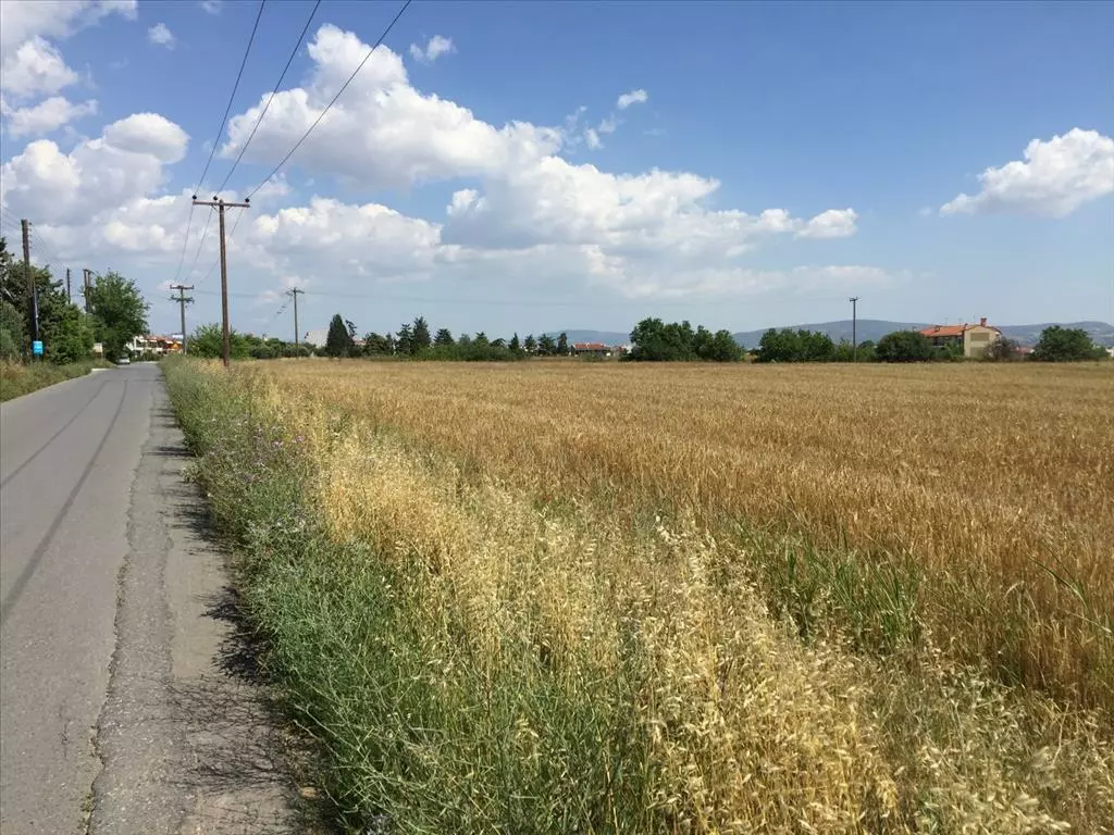 For Sale Land 16000 M² In The Suburbs Of Thessaloniki