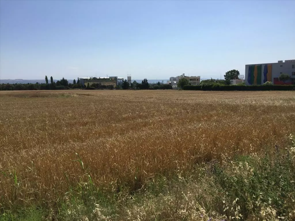 For Sale Land 16000 M² In The Suburbs Of Thessaloniki