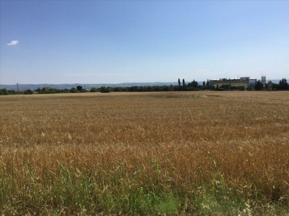 Land In Thermi, Greece