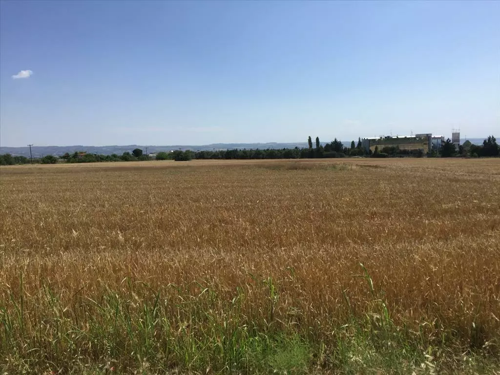 For Sale Land 16000 M² In The Suburbs Of Thessaloniki
