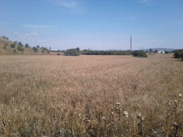 For Sale Land 15000 M² In Thessaloniki
