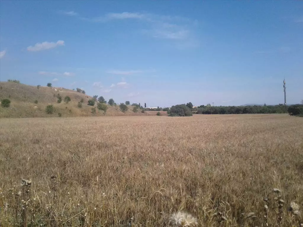 For Sale Land 15000 M² In Thessaloniki