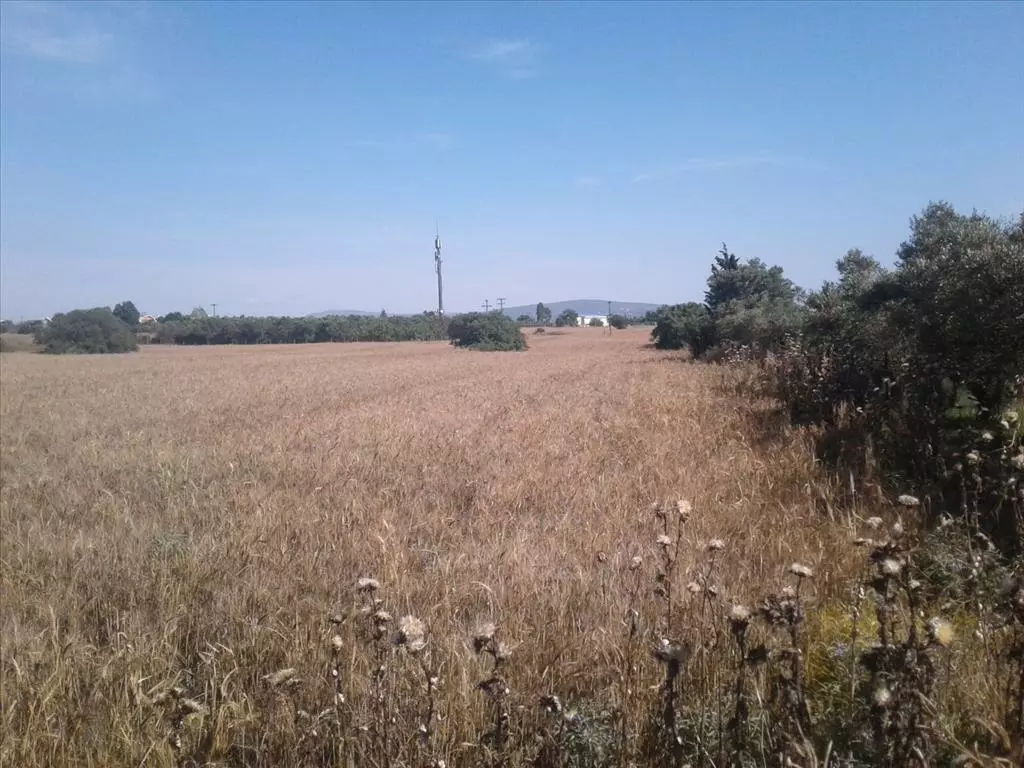 For Sale Land 15000 M² In Thessaloniki
