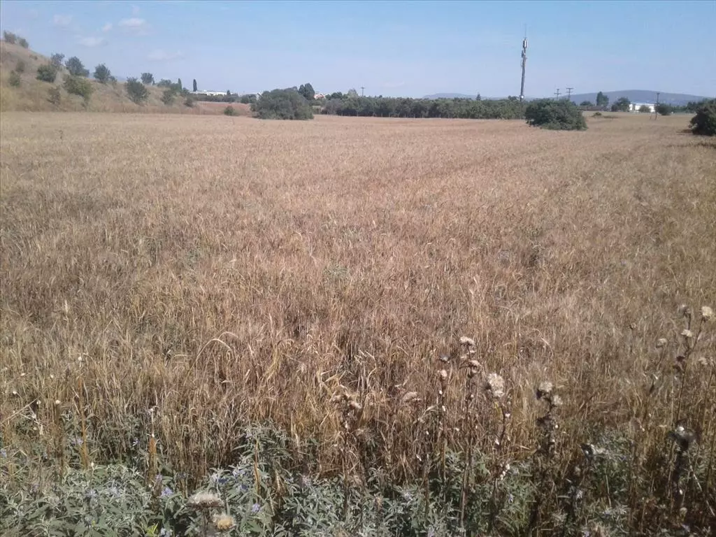 For Sale Land 15000 M² In Thessaloniki