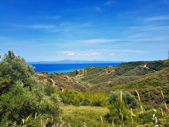 For Sale Land 4000 M² In Kassandra, Chalkidiki