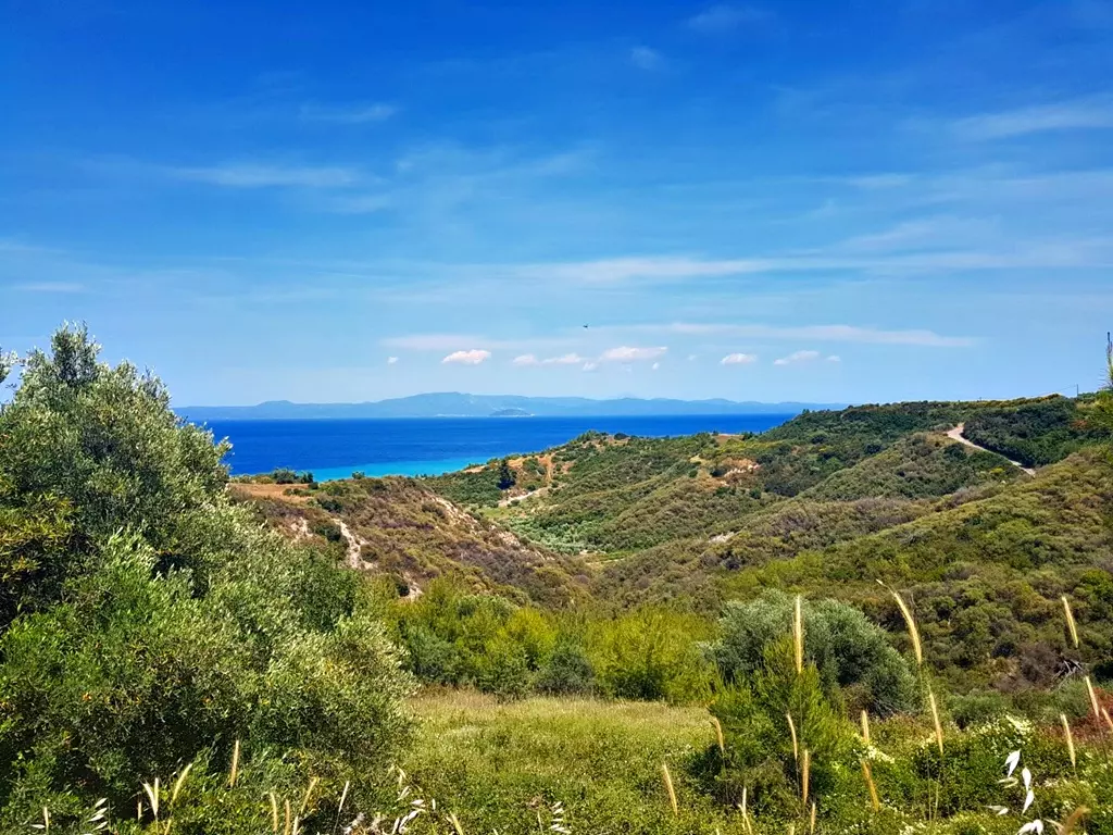 For Sale Land 4000 M² In Kassandra, Chalkidiki