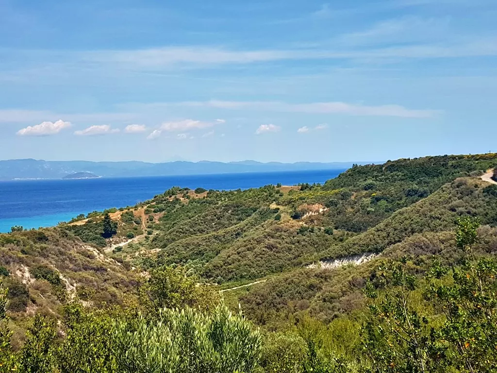 For Sale Land 4000 M² In Kassandra, Chalkidiki