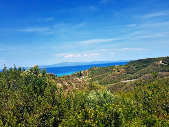 Land In Kassandra, Greece