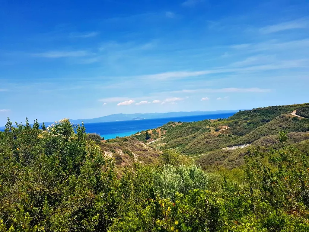 For Sale Land 4000 M² In Kassandra, Chalkidiki