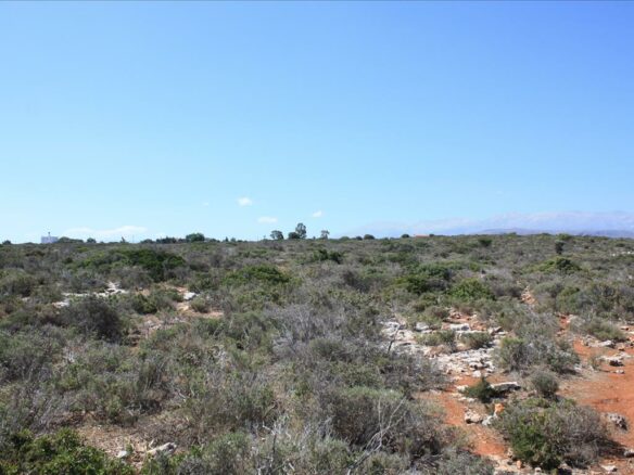 Land In Akrotiri, Greece