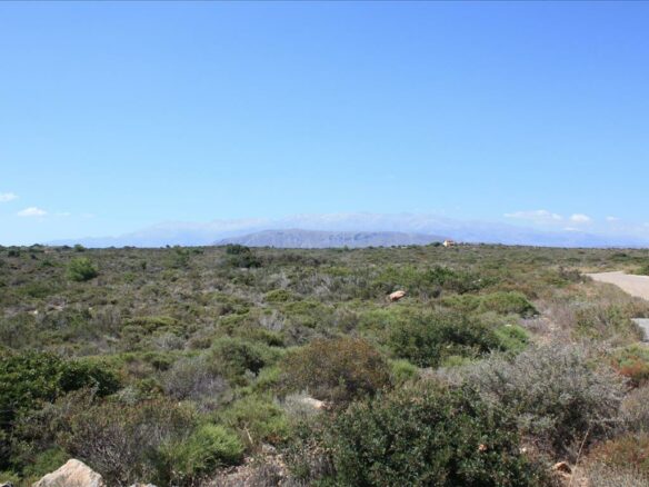 Land In Akrotiri, Greece