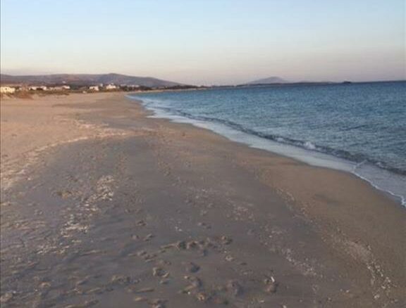 Business In Greece (310 M²)