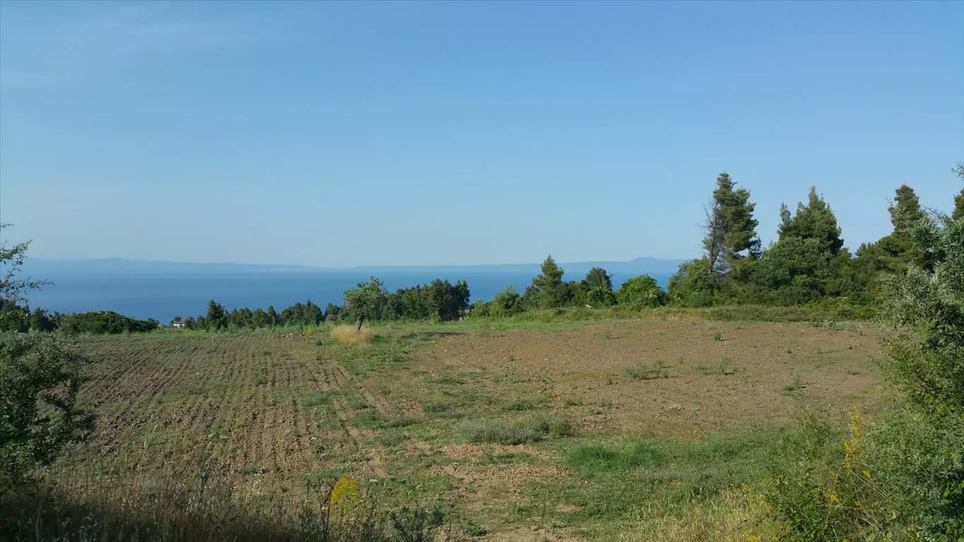 For Sale Land 14625 M² In Kassandra, Chalkidiki