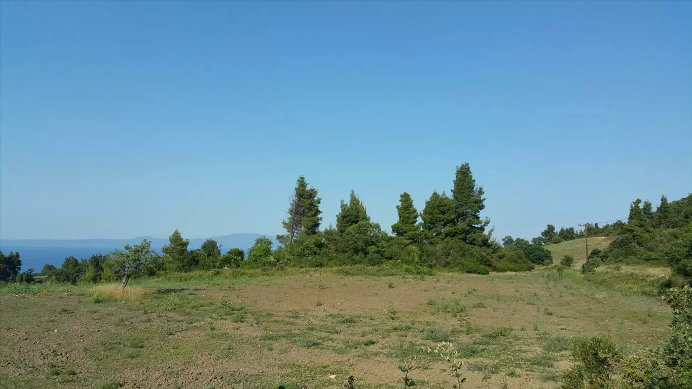 For Sale Land 14625 M² In Kassandra, Chalkidiki