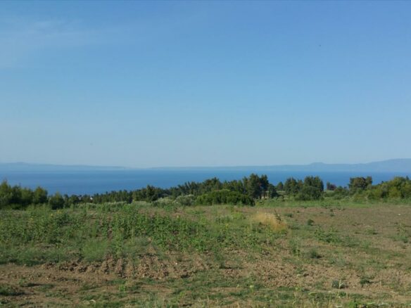 Land In Kassandra, Greece (14.625 M²)