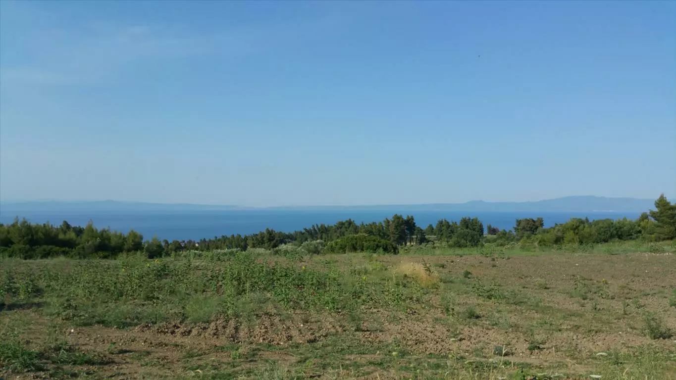 For Sale Land 14625 M² In Kassandra, Chalkidiki