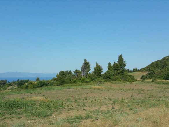 Land In Kassandra, Greece (14.625 M²)