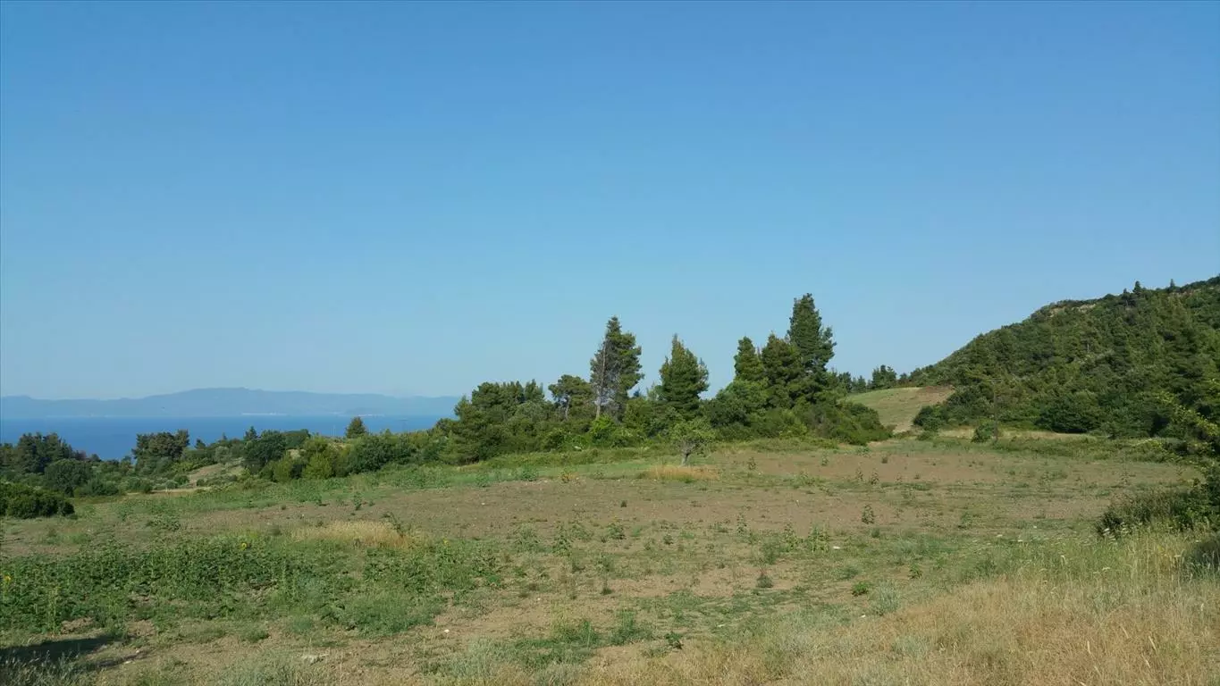 For Sale Land 14625 M² In Kassandra, Chalkidiki