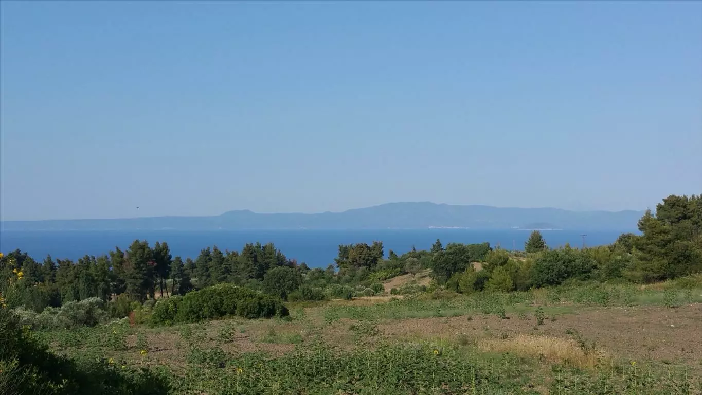 For Sale Land 14625 M² In Kassandra, Chalkidiki