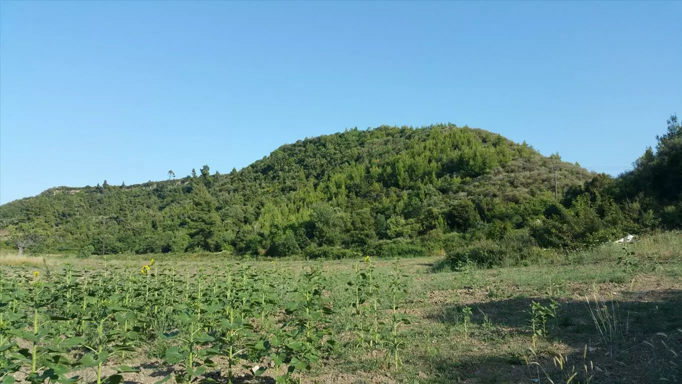 For Sale Land 14625 M² In Kassandra, Chalkidiki