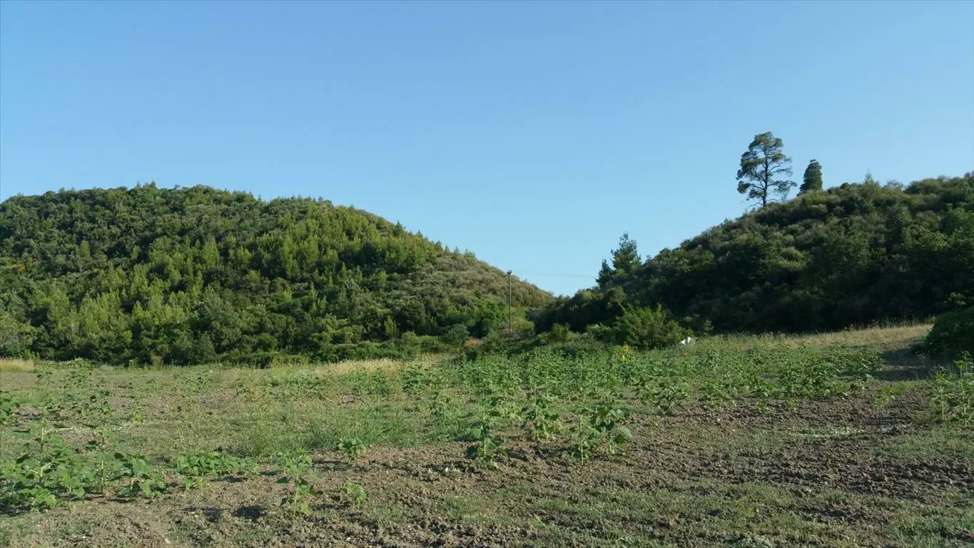 For Sale Land 14625 M² In Kassandra, Chalkidiki