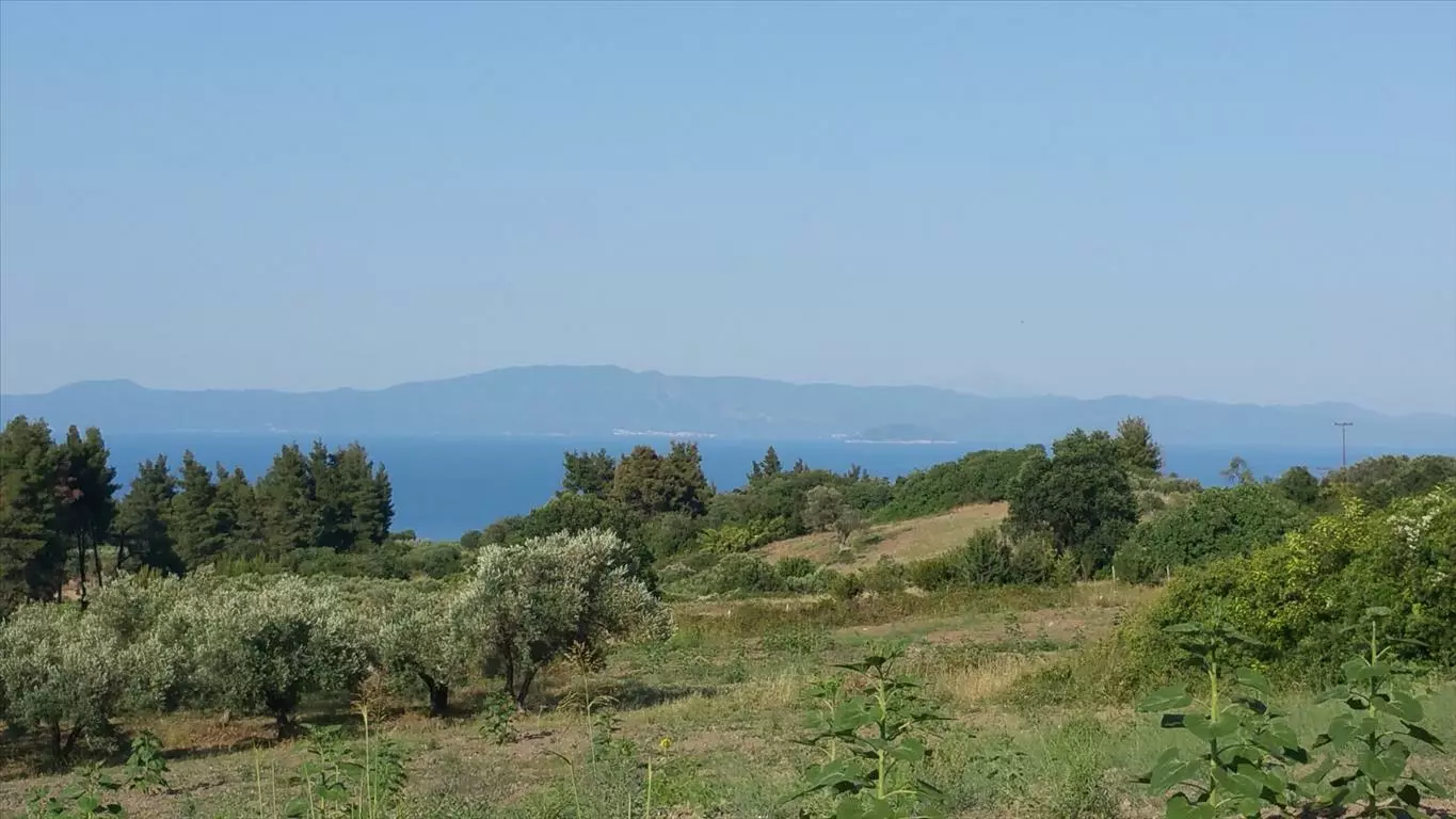 For Sale Land 14625 M² In Kassandra, Chalkidiki