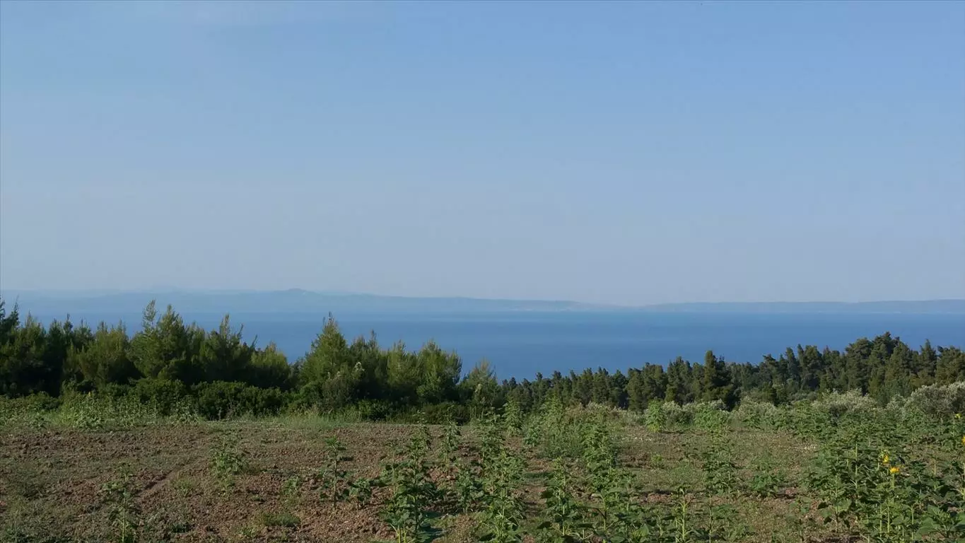 For Sale Land 14625 M² In Kassandra, Chalkidiki