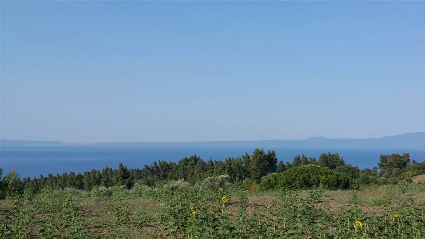 For Sale Land 14625 M² In Kassandra, Chalkidiki
