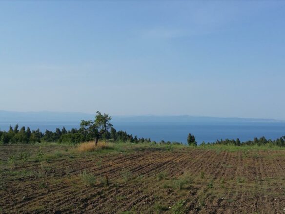 For Sale Land 14625 M² In Kassandra, Chalkidiki