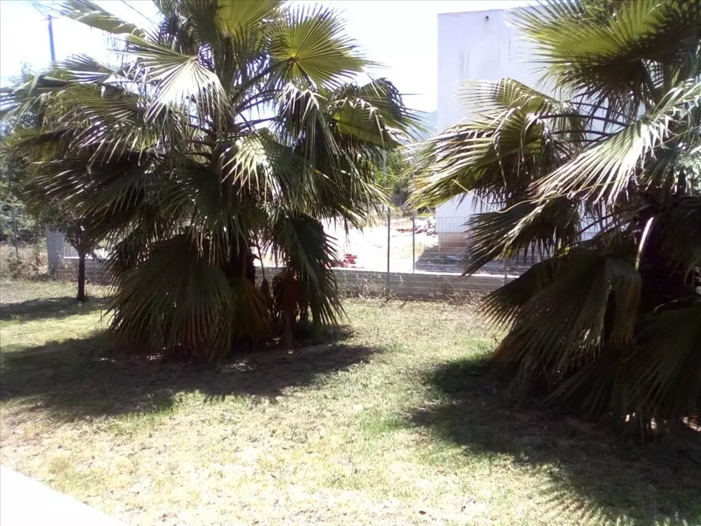 For Sale Detached House 160 M² In Eastern Peloponnese