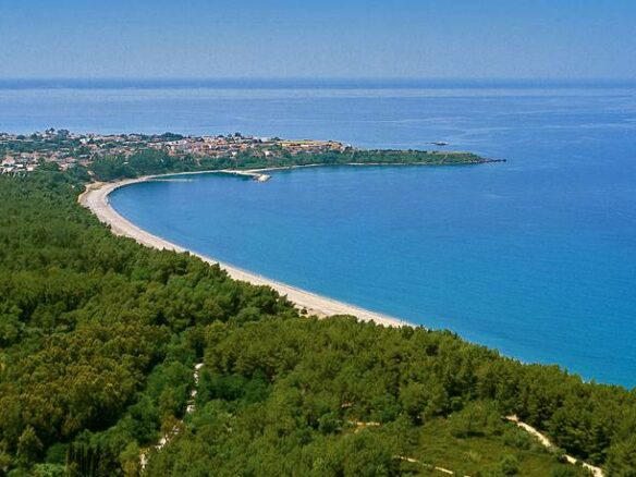For Sale Land 5622 M² In Central Greece