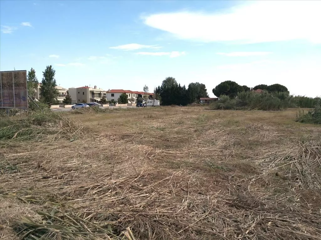 For Sale Land 7135 M² In Sithonia, Chalkidiki
