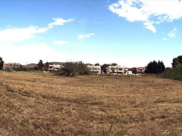For Sale Land 7135 M² In Sithonia, Chalkidiki
