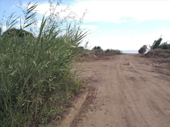Land In Poligiros, Greece