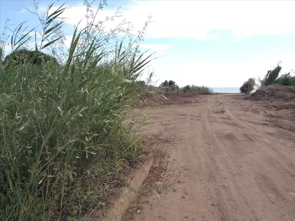 For Sale Land 7135 M² In Sithonia, Chalkidiki
