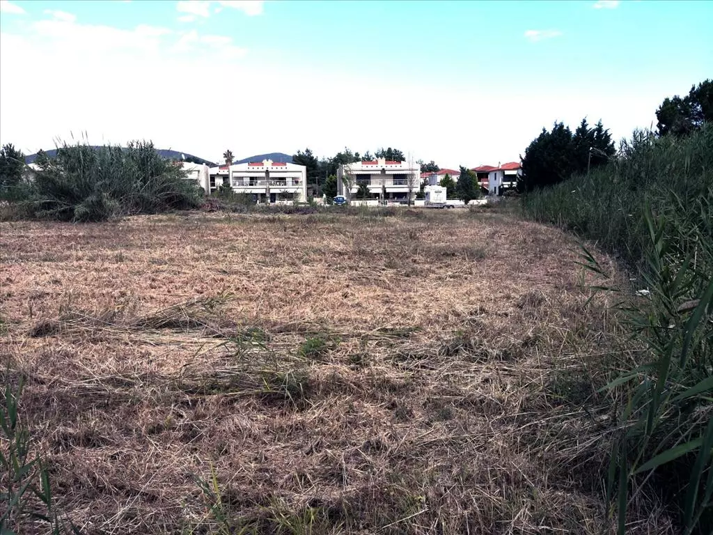For Sale Land 7135 M² In Sithonia, Chalkidiki