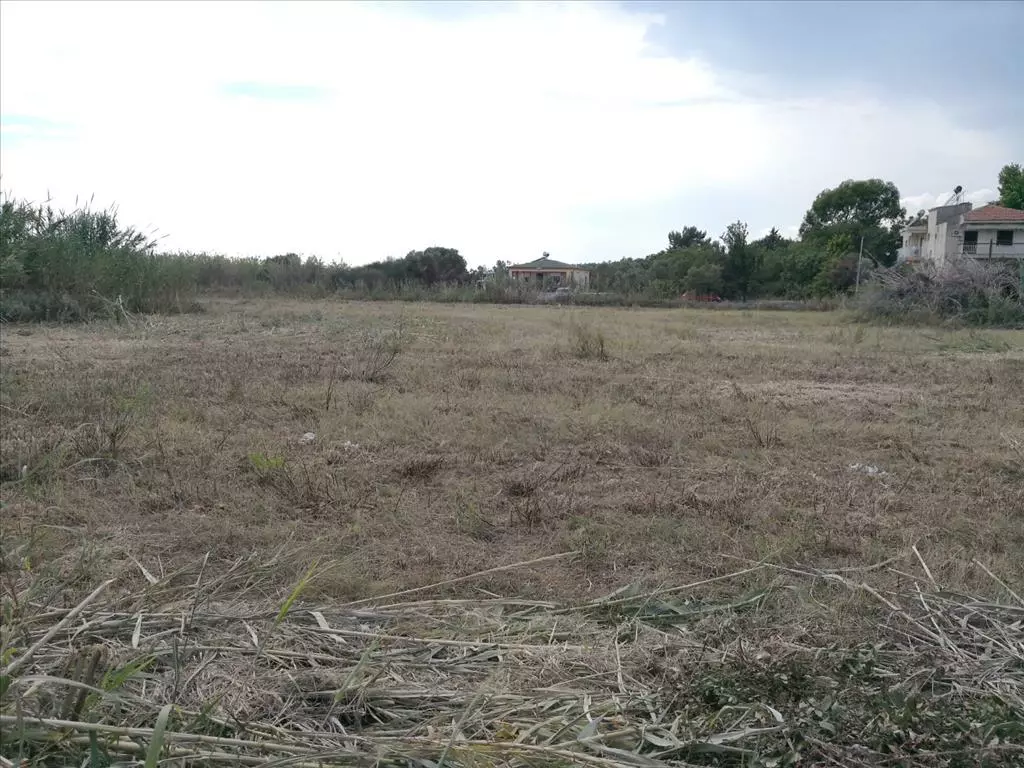 For Sale Land 7135 M² In Sithonia, Chalkidiki