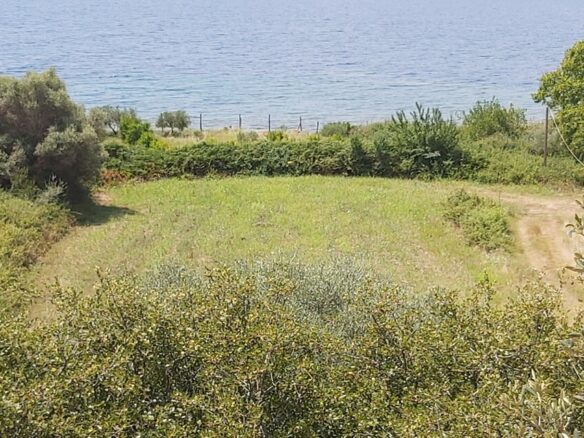For Sale Land 1600 M² In Athos, Chalkidiki