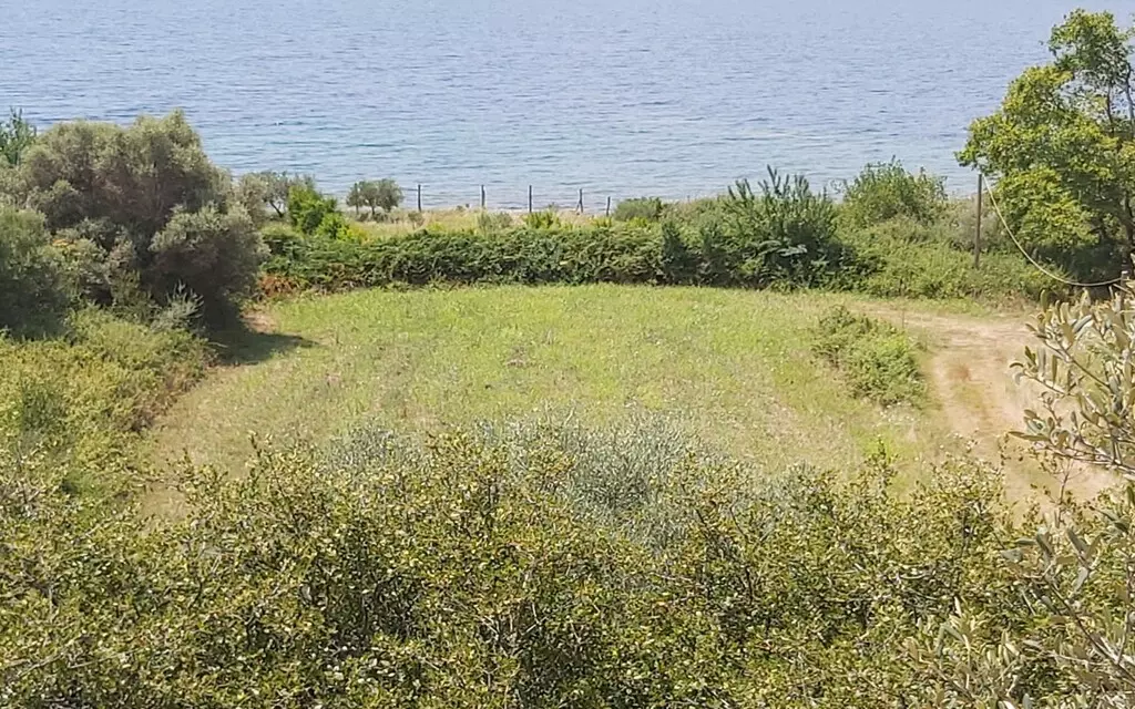 For Sale Land 1600 M² In Athos, Chalkidiki