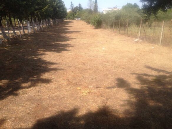 Land In Pylea, Greece