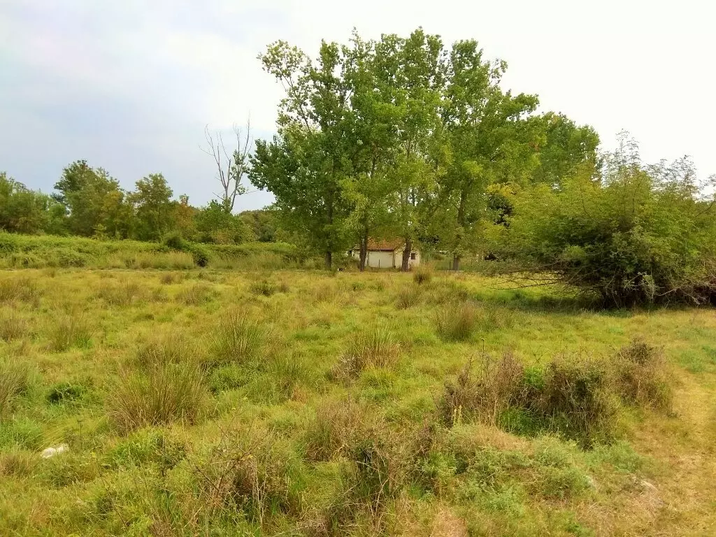 For Sale Land 4313 M² In Athos, Chalkidiki