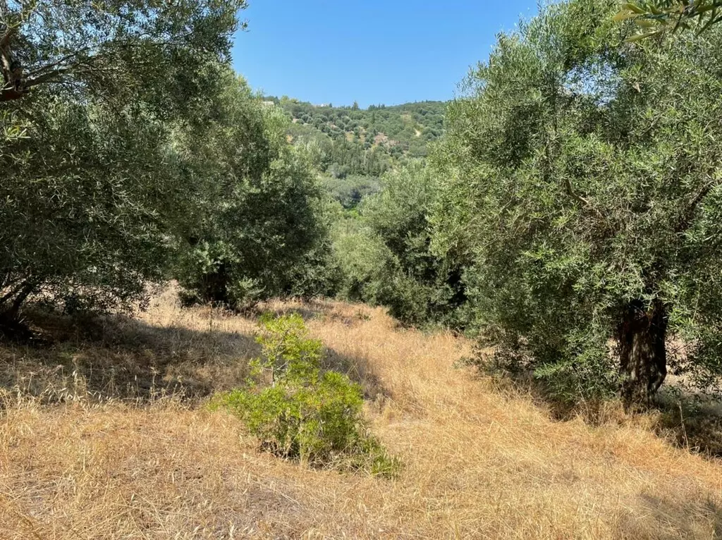 For Sale Land 5200 M² In Corfu