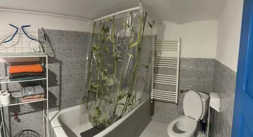 Turnkey Property Development: Central Hybrid Property/duplex (2 Independent Units) – Dealului Street, Sibiu