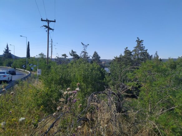Land In Oreokastro, Greece