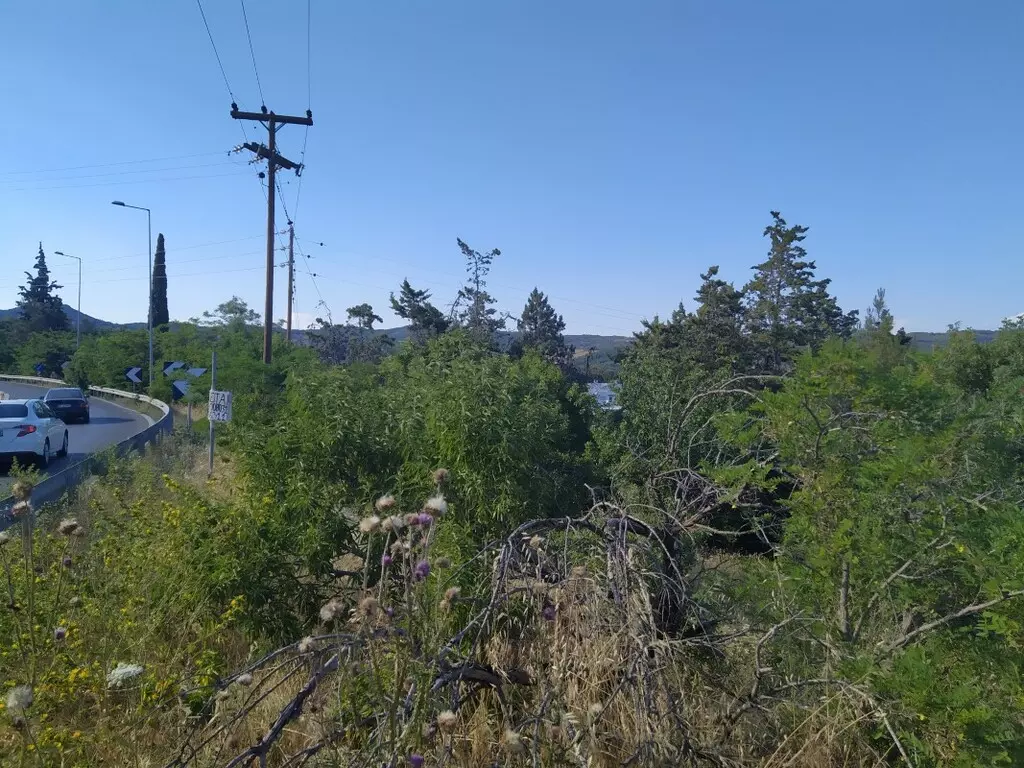 For Sale Land 12000 M² In The Suburbs Of Thessaloniki