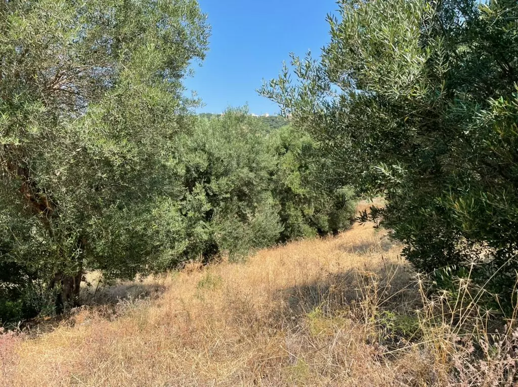 For Sale Land 5200 M² In Corfu