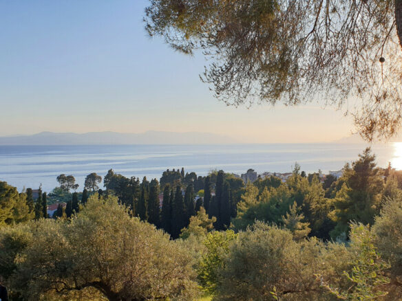 For Sale Land 29486 M² On The Euboea Island