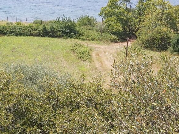 Land In Aristotle, Greece