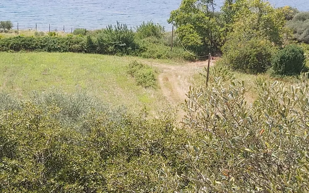 For Sale Land 1600 M² In Athos, Chalkidiki