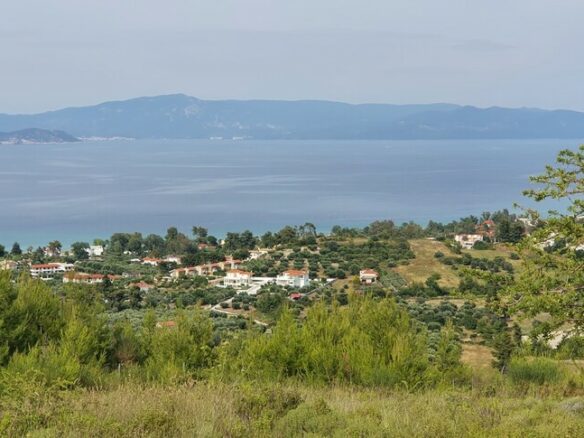 Land In Kassandra, Greece